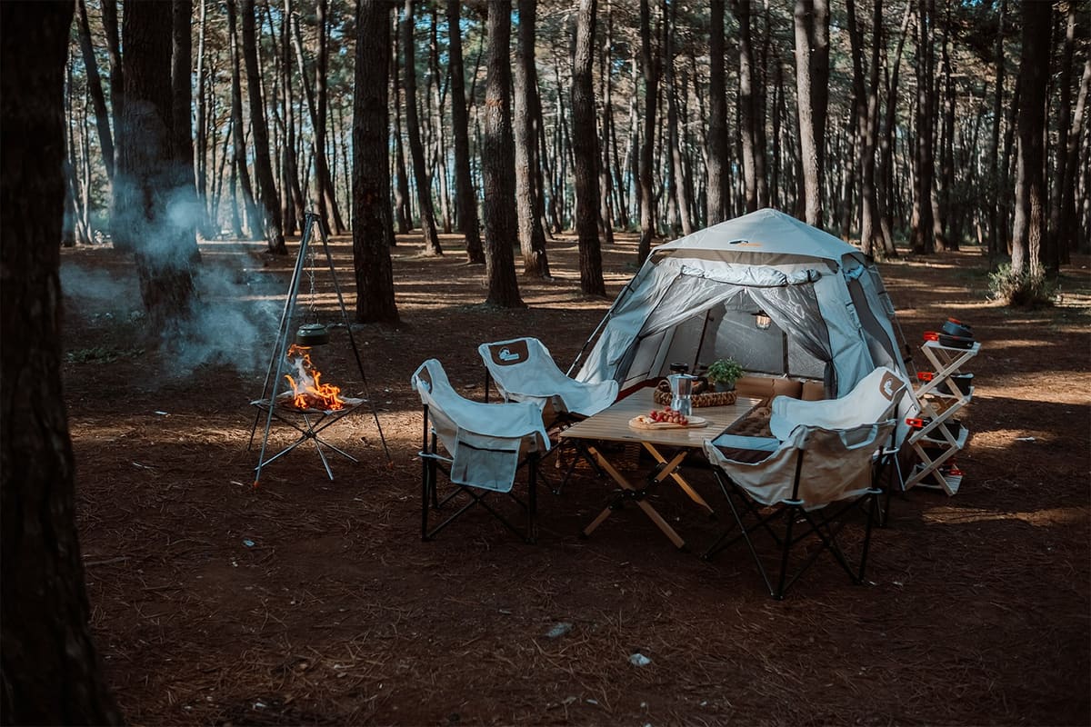 Asgard tent in a pine forest camp with canvas chairs, a slatted table and a fire bowl